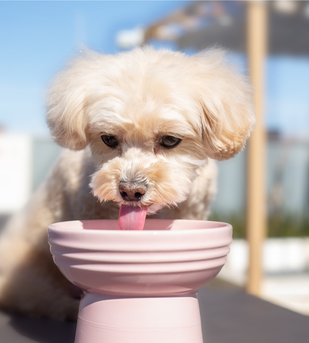 ステップ1 「飲む・食べる」ケア イメージ画像